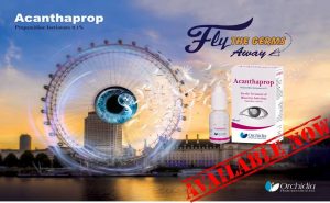 Read more about the article قطرة أكانثابروب “Acanthaprop” لعلاج إلتهاب القرنية الأميبي