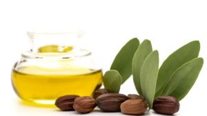 Read more about the article تعرف على فوائد زيت الجوجوبا للبشرة والشعر