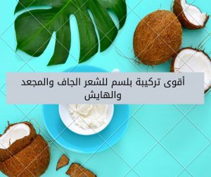 Read more about the article أقوى تركيبة بلسم لترطيب وتنعيم الشعر الجاف والمجعد والهايش
